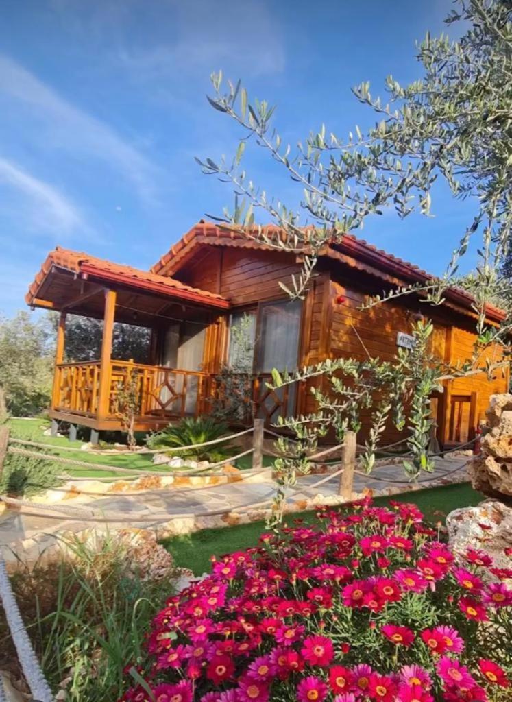Doganin Ruhu Hotel & Bungalow Kaş Zewnętrze zdjęcie