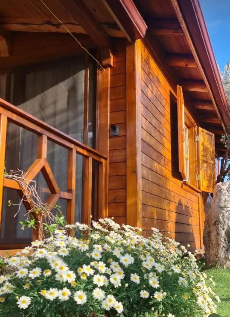 Doganin Ruhu Hotel & Bungalow Kaş Zewnętrze zdjęcie